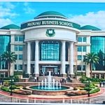 Gallery_1772308242152