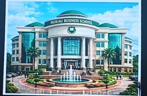 Gallery_1772308242152